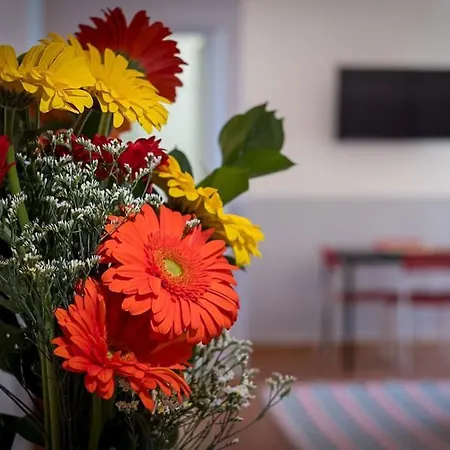 公寓 Ht Bilo Colosseo With Terrace 罗马