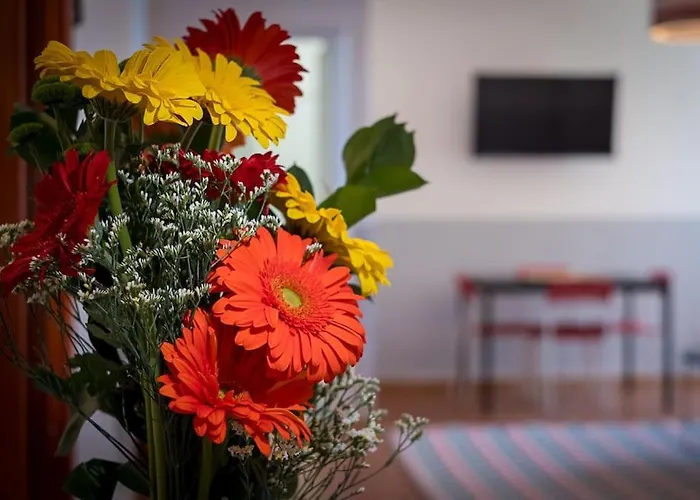 公寓 Ht Bilo Colosseo With Terrace 罗马