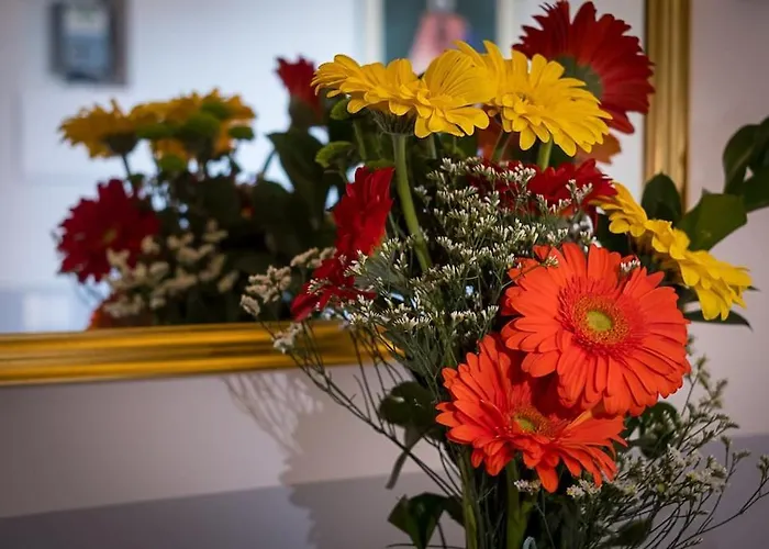 Ht Bilo Colosseo With Terrace *